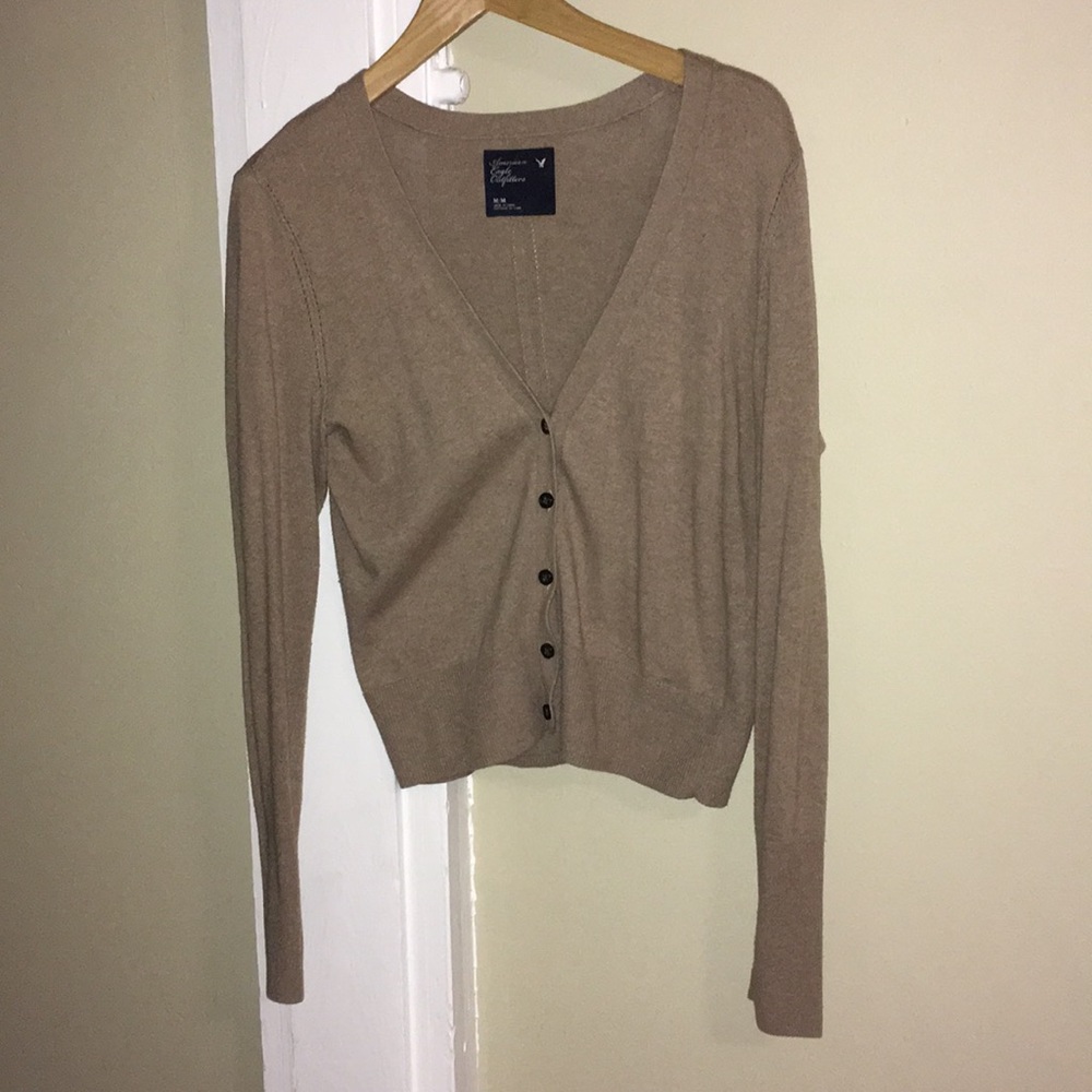 Brown American Eagle Cardigan